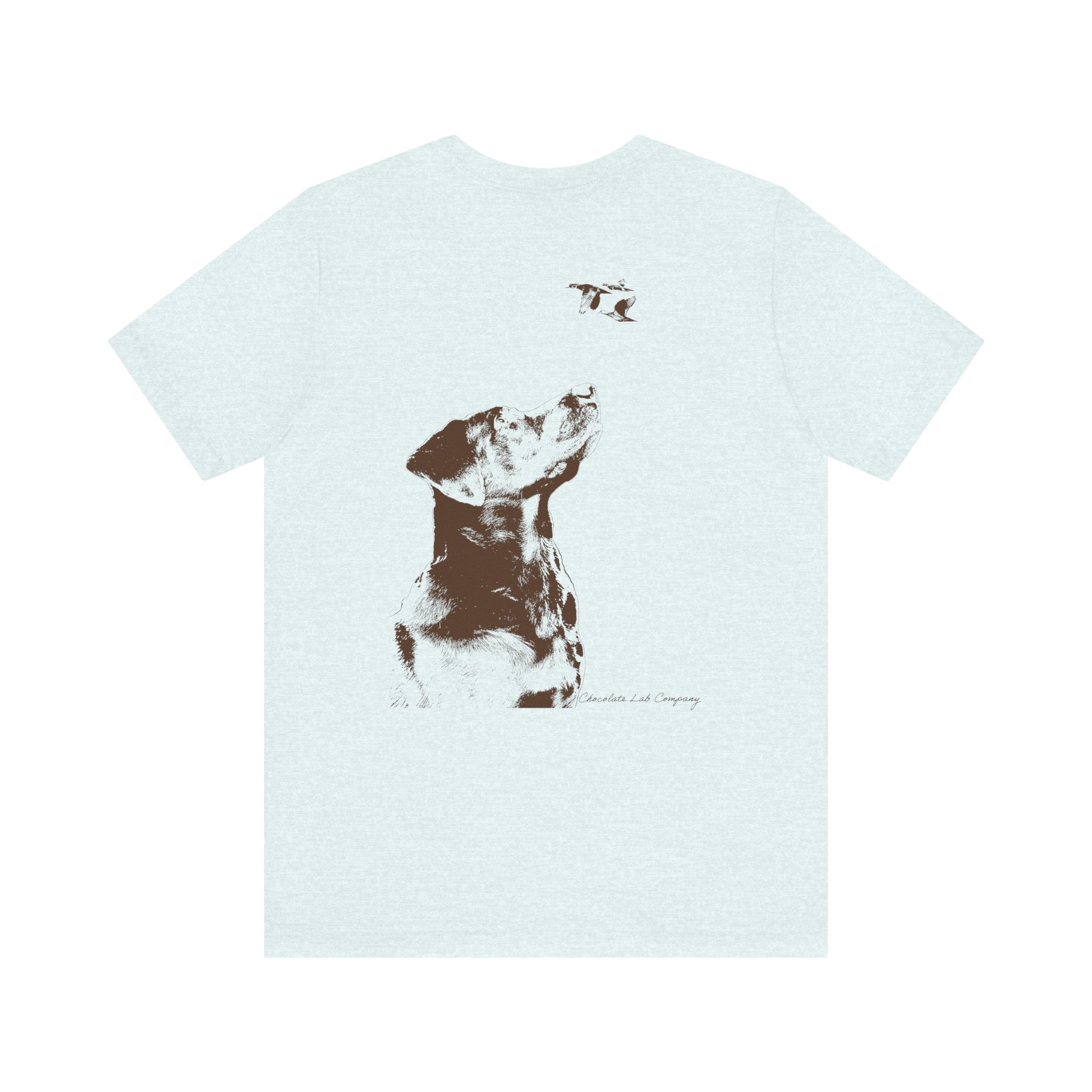 Eyes to the Skies, Cotton Tee (Bella+Canvas 3001)