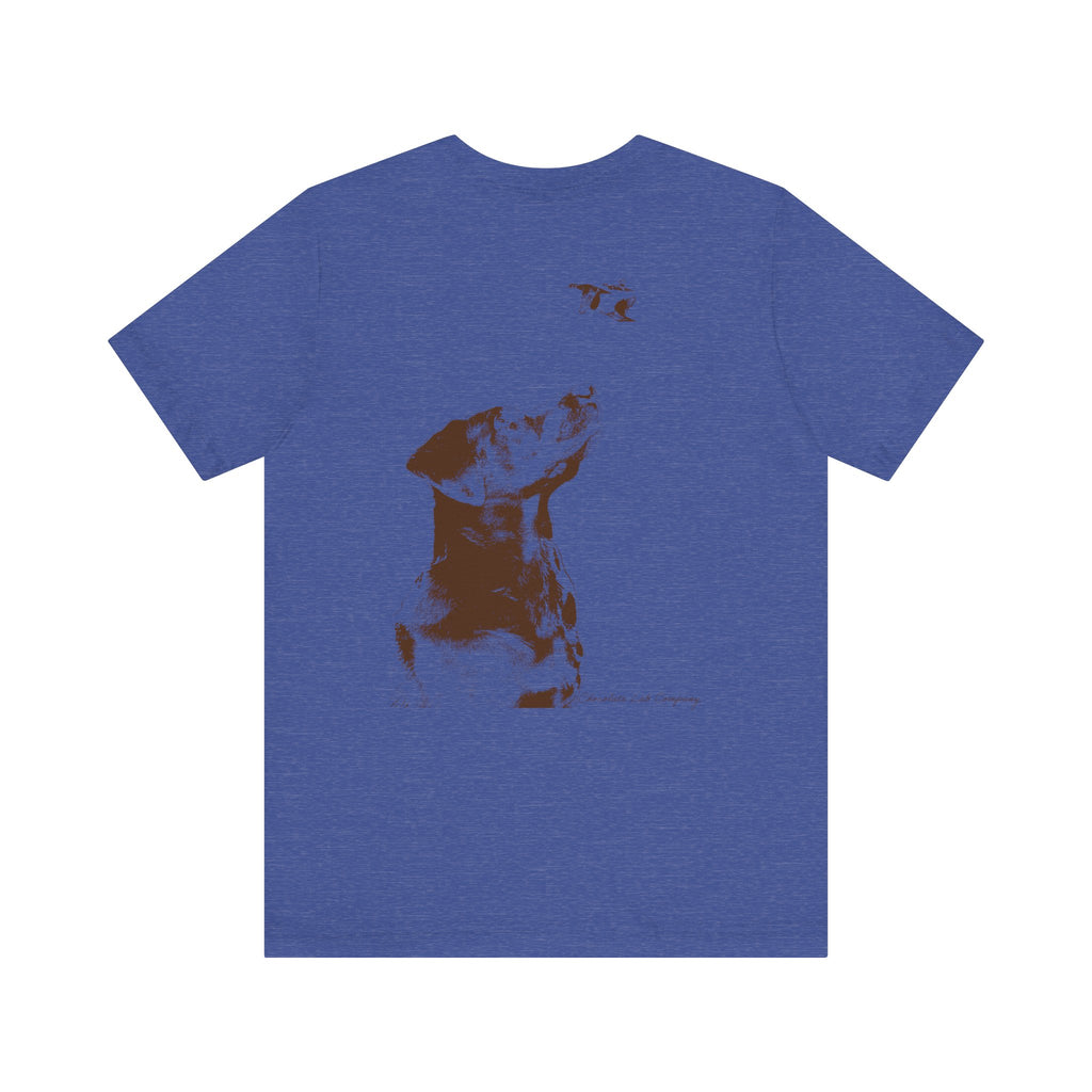 Eyes to the Skies, Cotton Tee (Bella+Canvas 3001)