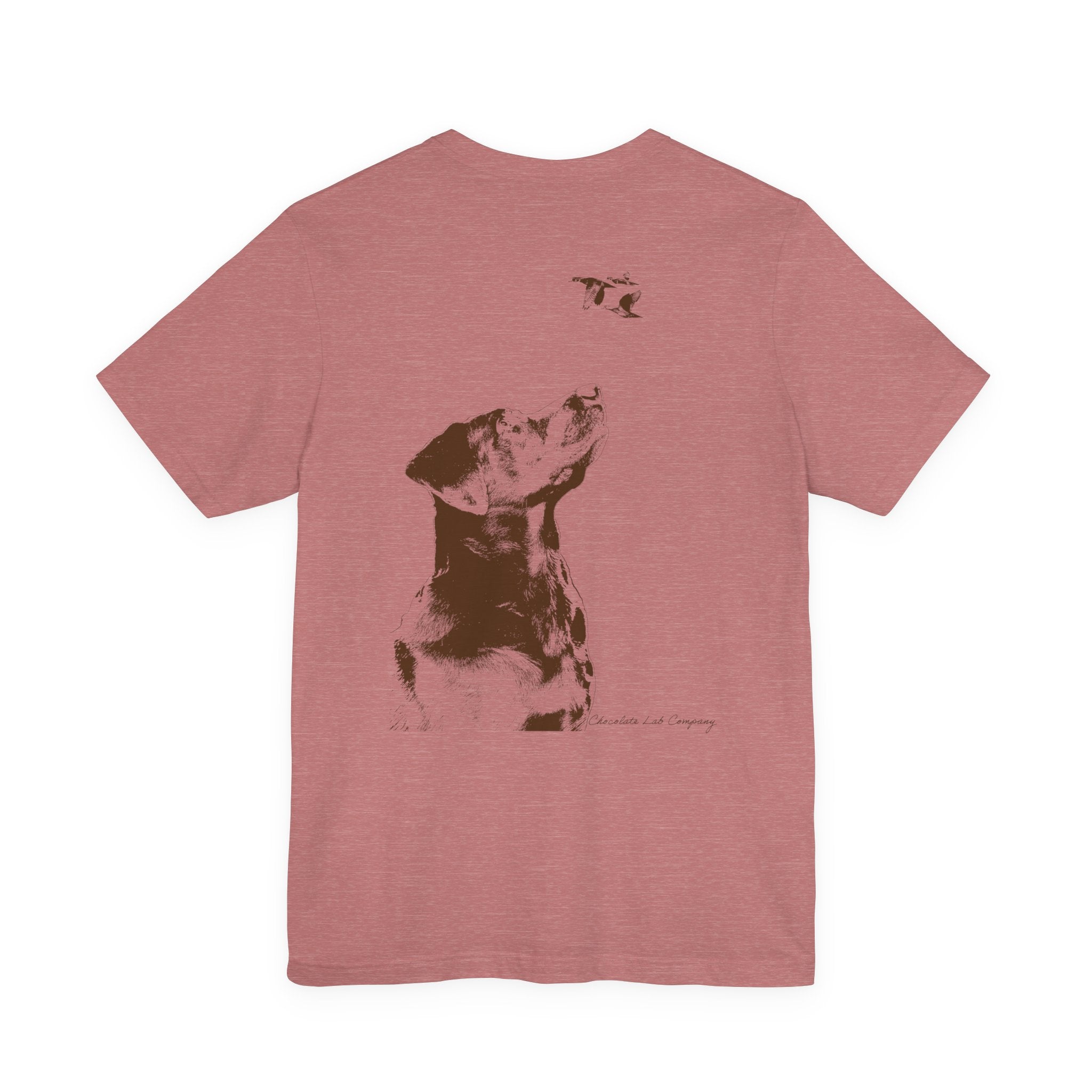 Eyes to the Skies, Cotton Tee (Bella+Canvas 3001)