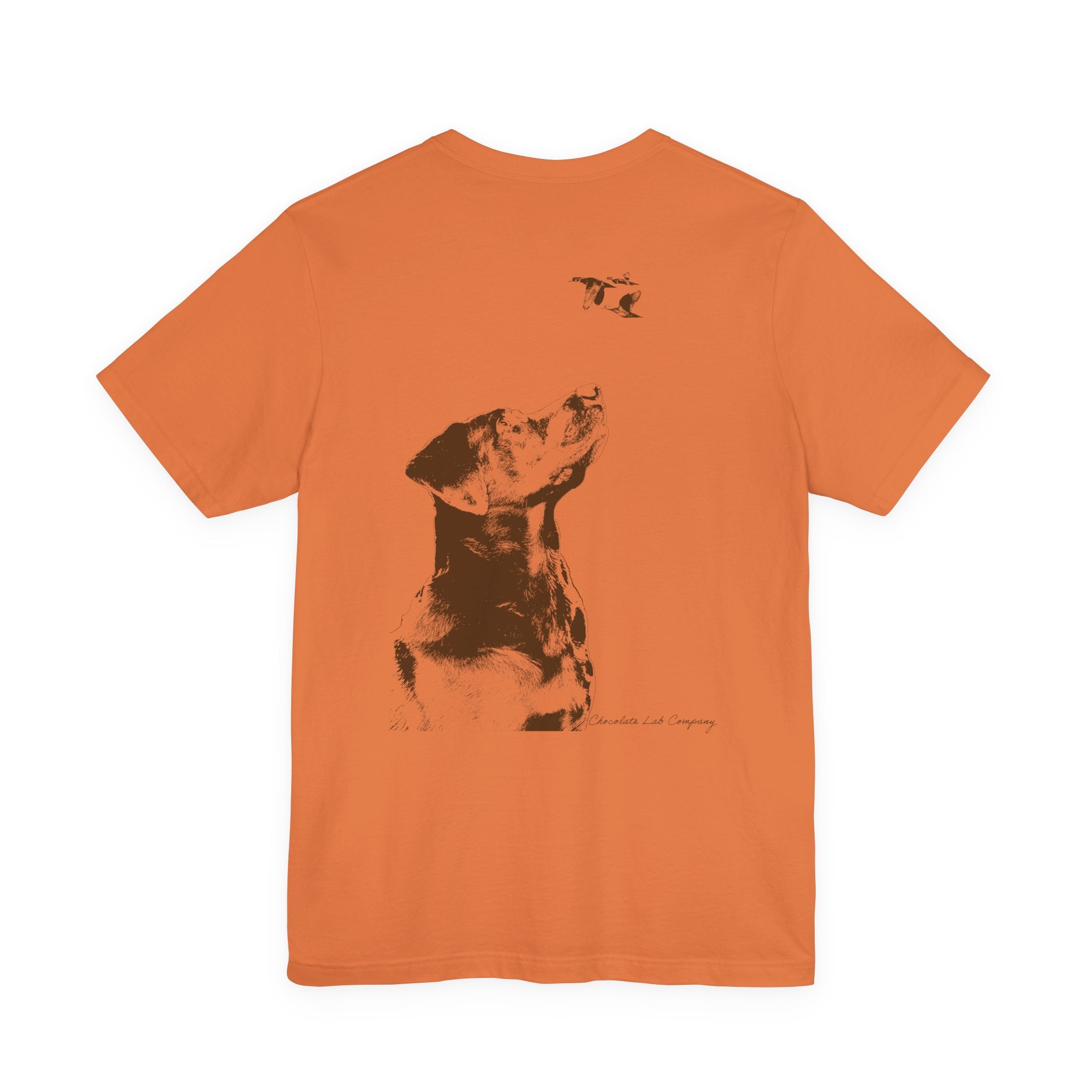 Eyes to the Skies, Cotton Tee (Bella+Canvas 3001)